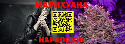 индика Тула